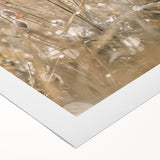 Farmhouse Wall Art - Delicate Poppies in Sunlit Meadow Print