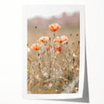 Farmhouse Wall Art - Delicate Poppies in Sunlit Meadow Print