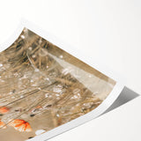 Farmhouse Wall Art - Delicate Poppies in Sunlit Meadow Print