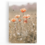 Farmhouse Wall Art - Delicate Poppies in Sunlit Meadow Print