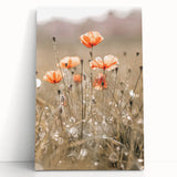Farmhouse Wall Art - Delicate Poppies in Sunlit Meadow Print