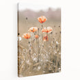 Farmhouse Wall Art - Delicate Poppies in Sunlit Meadow Print