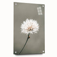Farmhouse Wall Art - Delicate Dandelion in Soft Focus Minimalist Print