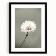 Farmhouse Wall Art - Delicate Dandelion in Soft Focus Minimalist Print