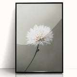Farmhouse Wall Art - Delicate Dandelion in Soft Focus Minimalist Print