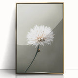 Farmhouse Wall Art - Delicate Dandelion in Soft Focus Minimalist Print