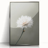 Farmhouse Wall Art - Delicate Dandelion in Soft Focus Minimalist Print