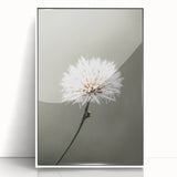 Farmhouse Wall Art - Delicate Dandelion in Soft Focus Minimalist Print
