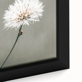 Farmhouse Wall Art - Delicate Dandelion in Soft Focus Minimalist Print