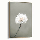 Farmhouse Wall Art - Delicate Dandelion in Soft Focus Minimalist Print