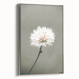 Farmhouse Wall Art - Delicate Dandelion in Soft Focus Minimalist Print
