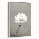 Farmhouse Wall Art - Delicate Dandelion in Soft Focus Minimalist Print