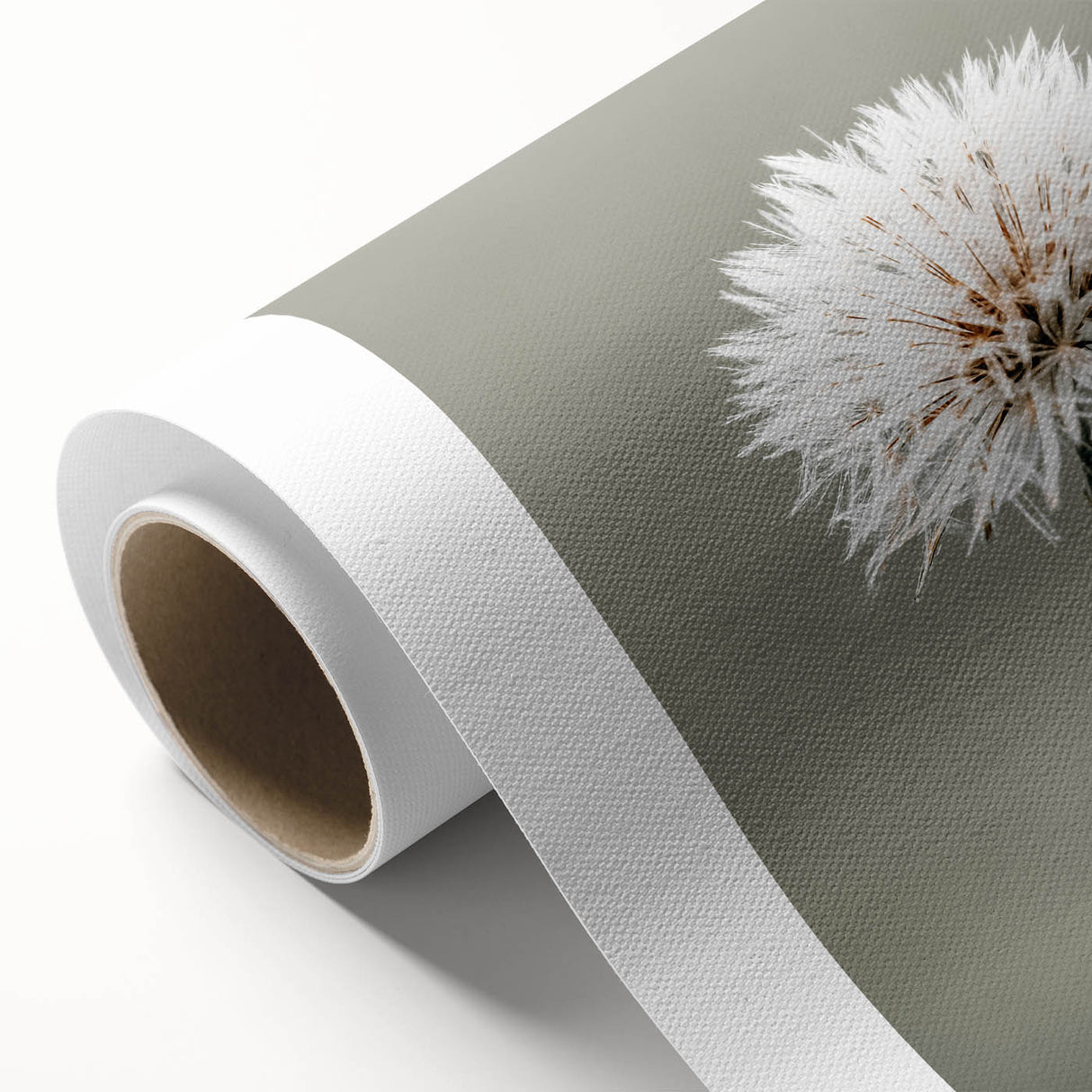 Farmhouse Wall Art - Delicate Dandelion in Soft Focus Minimalist Print