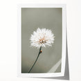 Farmhouse Wall Art - Delicate Dandelion in Soft Focus Minimalist Print