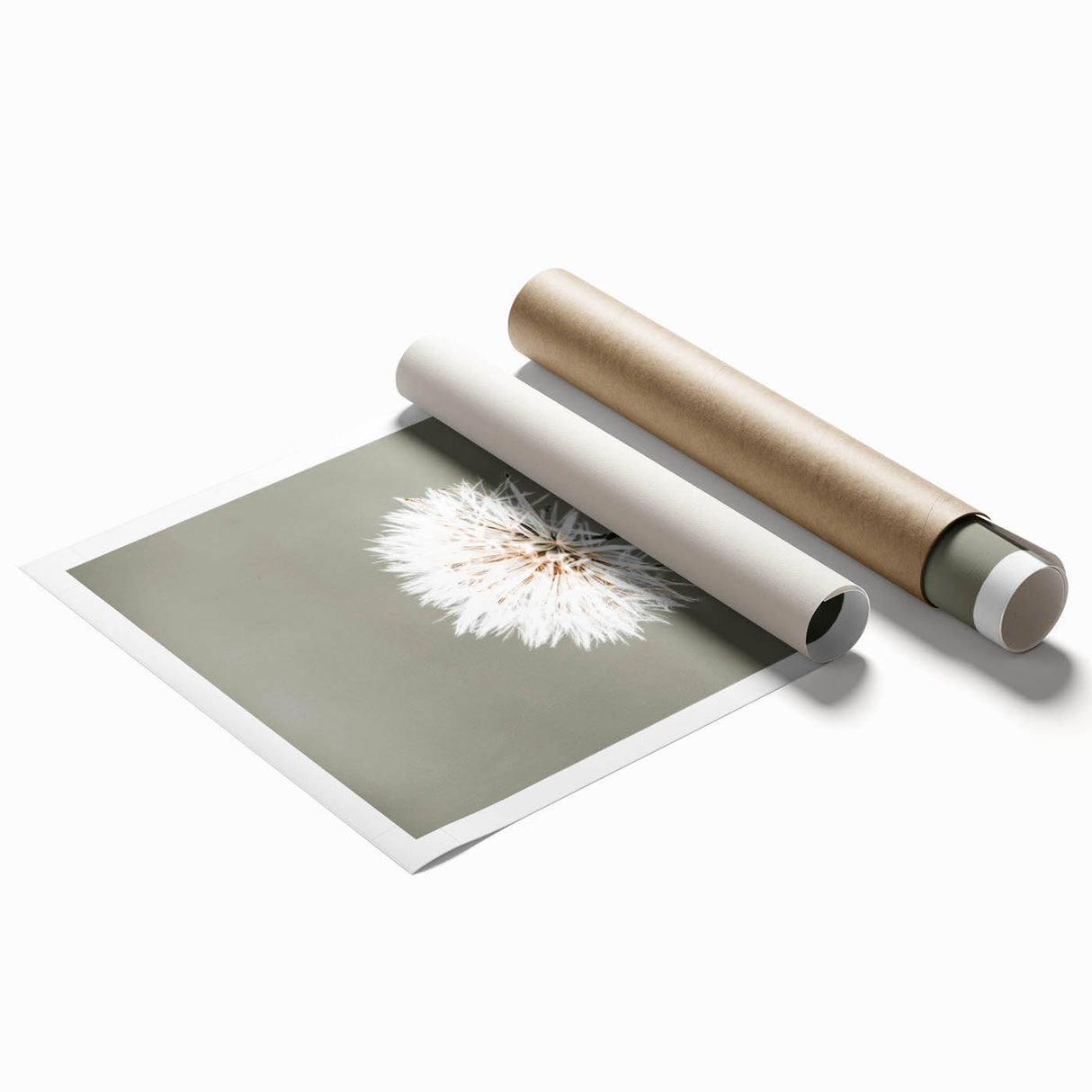 Farmhouse Wall Art - Delicate Dandelion in Soft Focus Minimalist Print