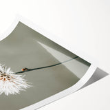 Farmhouse Wall Art - Delicate Dandelion in Soft Focus Minimalist Print