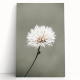 Farmhouse Wall Art - Delicate Dandelion in Soft Focus Minimalist Print
