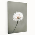 Farmhouse Wall Art - Delicate Dandelion in Soft Focus Minimalist Print
