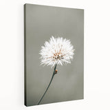 Farmhouse Wall Art - Delicate Dandelion in Soft Focus Minimalist Print