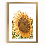 Farmhouse Wall Art - Radiant Sunflower in Rustic Country Style Print