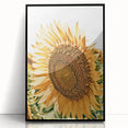 Farmhouse Wall Art - Radiant Sunflower in Rustic Country Style Print