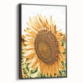 Farmhouse Wall Art - Radiant Sunflower in Rustic Country Style Print