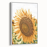 Farmhouse Wall Art - Radiant Sunflower in Rustic Country Style Print