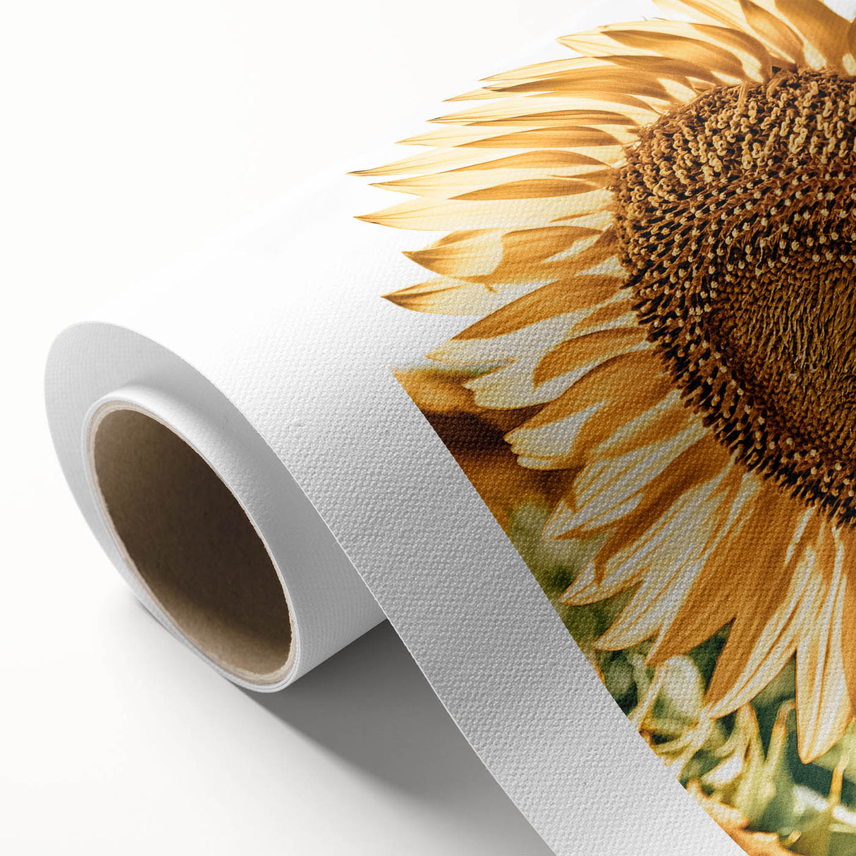 Farmhouse Wall Art - Radiant Sunflower in Rustic Country Style Print