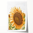 Farmhouse Wall Art - Radiant Sunflower in Rustic Country Style Print