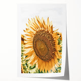 Farmhouse Wall Art - Radiant Sunflower in Rustic Country Style Print