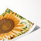 Farmhouse Wall Art - Radiant Sunflower in Rustic Country Style Print