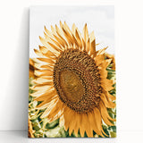Farmhouse Wall Art - Radiant Sunflower in Rustic Country Style Print