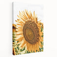 Farmhouse Wall Art - Radiant Sunflower in Rustic Country Style Print