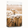 Farmhouse Wall Art - Bee on White Flowers in Rustic Field Print