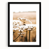 Farmhouse Wall Art - Bee on White Flowers in Rustic Field Print