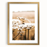 Farmhouse Wall Art - Bee on White Flowers in Rustic Field Print