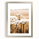 Farmhouse Wall Art - Bee on White Flowers in Rustic Field Print