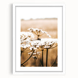 Farmhouse Wall Art - Bee on White Flowers in Rustic Field Print