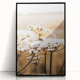 Farmhouse Wall Art - Bee on White Flowers in Rustic Field Print