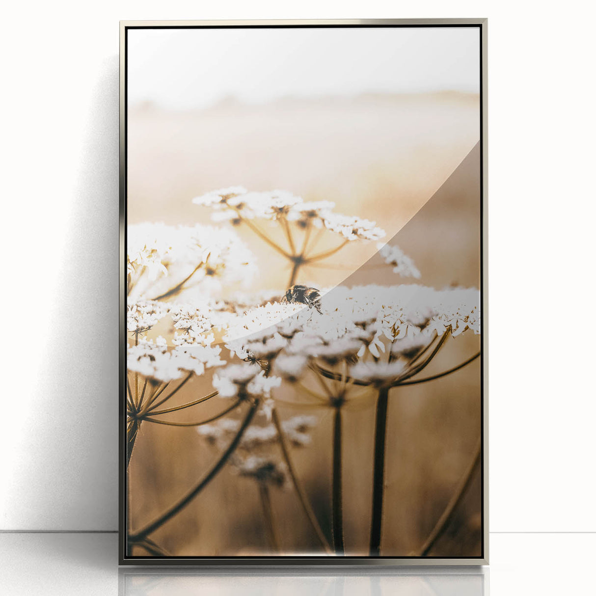 Farmhouse Wall Art - Bee on White Flowers in Rustic Field Print