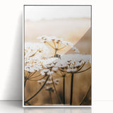 Farmhouse Wall Art - Bee on White Flowers in Rustic Field Print