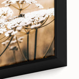 Farmhouse Wall Art - Bee on White Flowers in Rustic Field Print