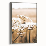 Farmhouse Wall Art - Bee on White Flowers in Rustic Field Print