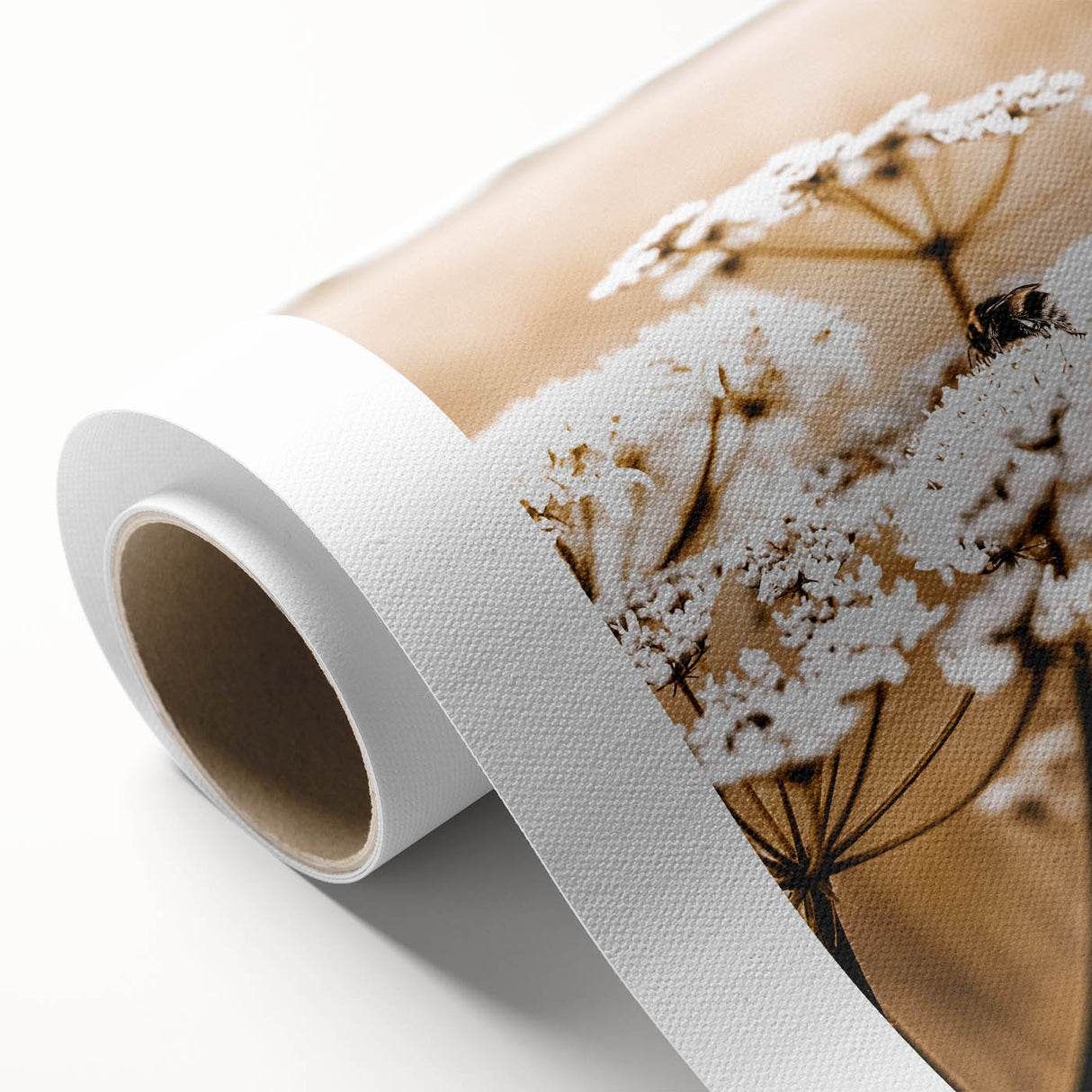 Farmhouse Wall Art - Bee on White Flowers in Rustic Field Print