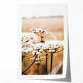 Farmhouse Wall Art - Bee on White Flowers in Rustic Field Print