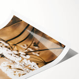 Farmhouse Wall Art - Bee on White Flowers in Rustic Field Print