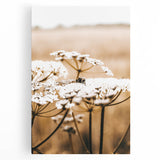 Farmhouse Wall Art - Bee on White Flowers in Rustic Field Print