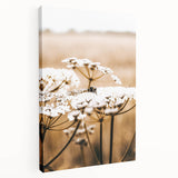 Farmhouse Wall Art - Bee on White Flowers in Rustic Field Print