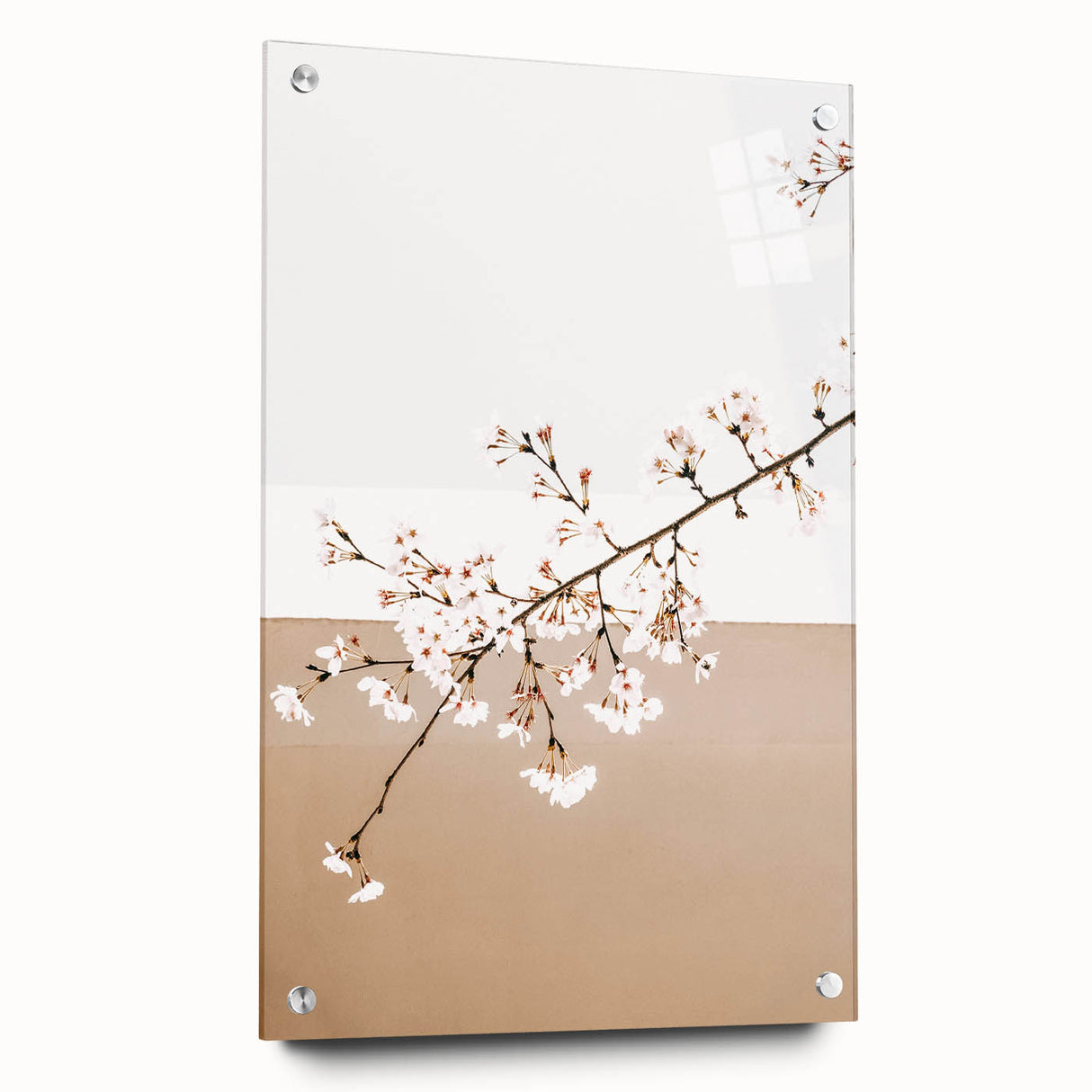 Farmhouse Wall Art - Delicate Blossom Branch in Minimalist Rustic Style