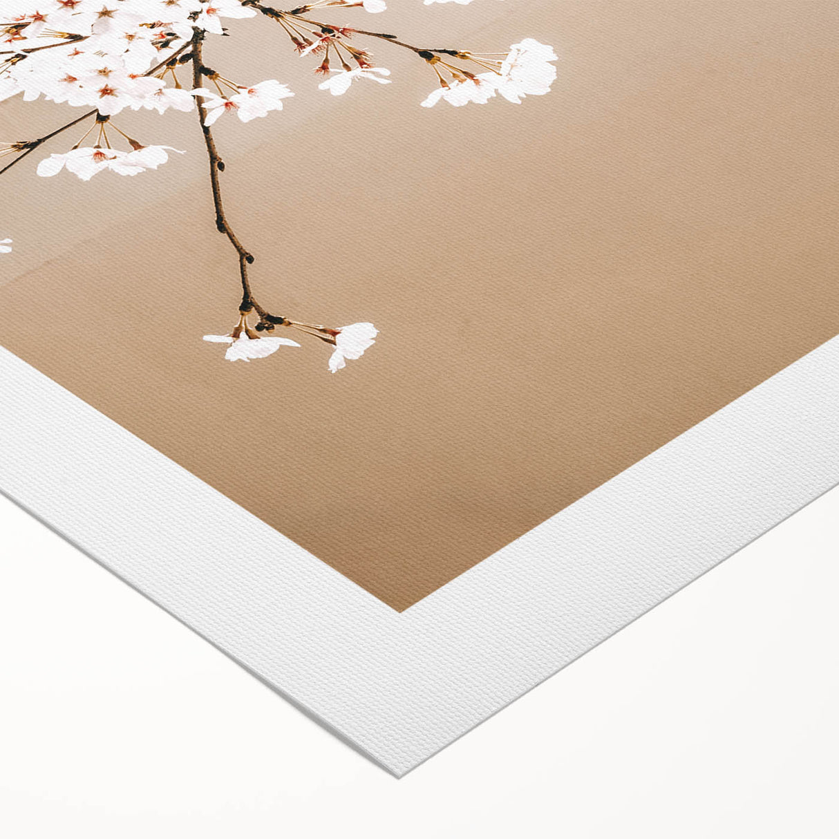Farmhouse Wall Art - Delicate Blossom Branch in Minimalist Rustic Style